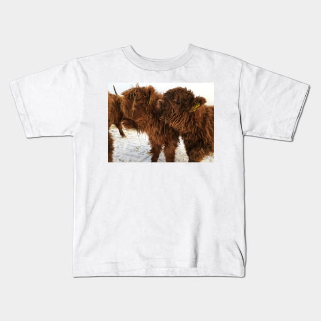 Scottish Highland Cattle Calves 1674 Kids T-Shirt by SaarelaHighland